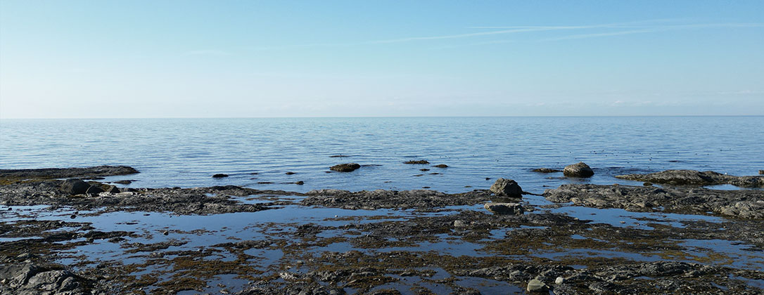 Politique de confidentialité