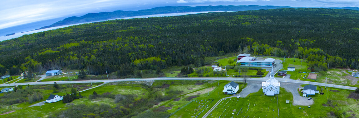 Primaires et secondaires