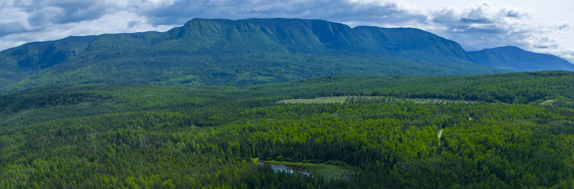 Services des ressources informationnelles et des archives